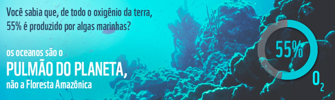 EDUCAOCEAN - oceanos pulmao do planeta