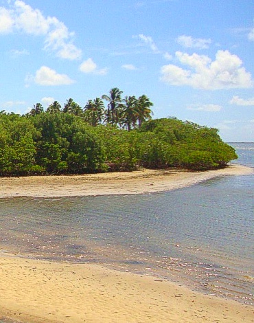 EDUCAOCEAN - Rio Formoso - APA